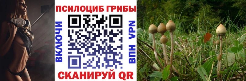 Галлюциногенные грибы Psilocybine cubensis  Чухлома 